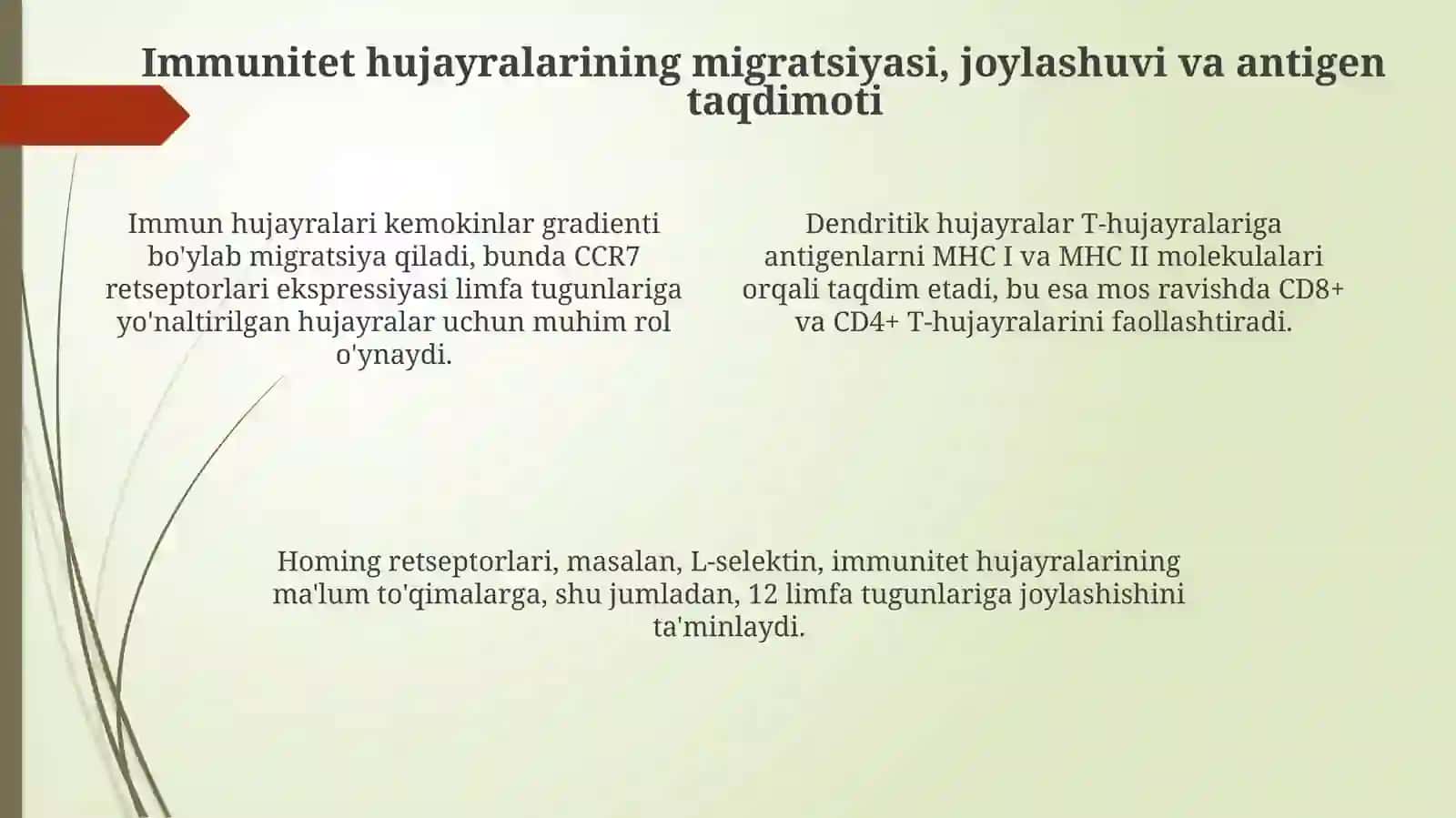 Immun-himoya reaktsiyalarining morfologik asoslari 4