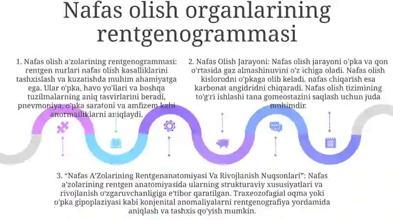 Nafas Olish Jarayoni. Nafas AʼZolarining Rentgenanatomiyasi Va Rivojlanish Nuqsonlari 4