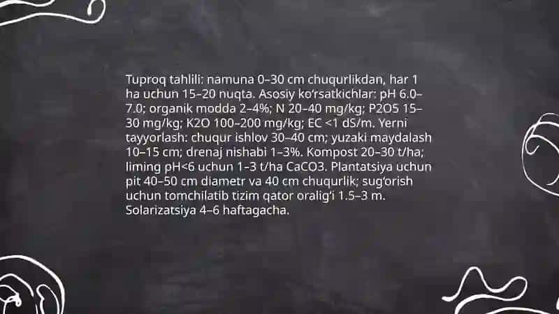 Tokni ko‘paytirish va tokzorlar barpo qilish 4