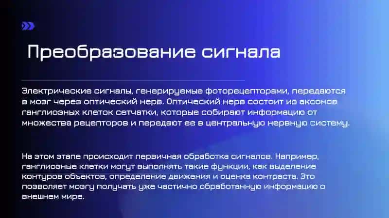 ЗРИТЕЛЬНАЯ ПЕРЦЕПЦИЯ 4