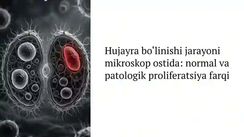 Hujayrada moddalar, energiya va ma'lumotlar oqimi: Tibbiyotdagi proliferatsiya muammolari 4