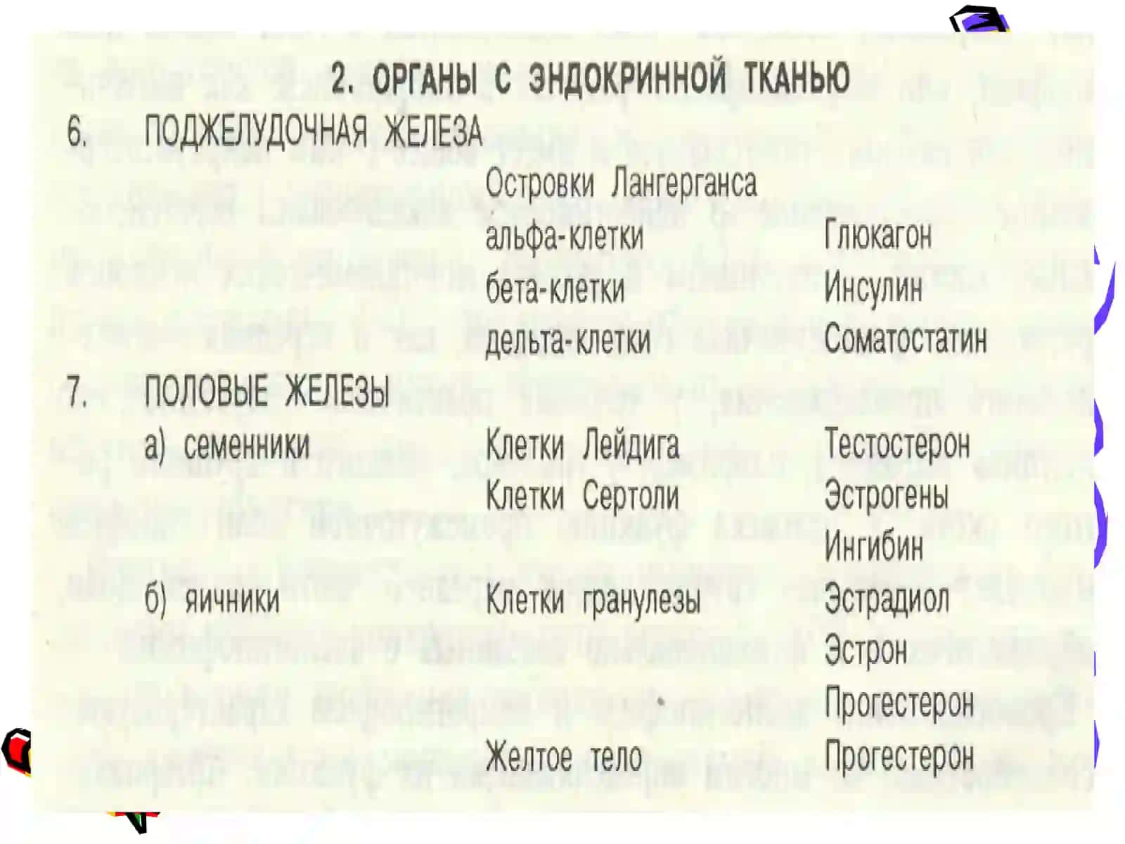 Ички секреция безларининг хусусий физиологияси 4