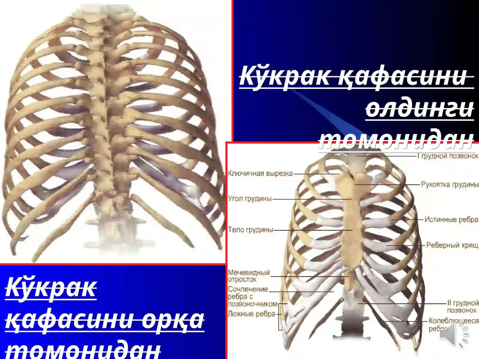 ТРАВМАТОЛОГИЯ, ОРТОПЕДИЯХАРБИЙ ДАЛА ЖАРРОХЛИГИВА НЕЙРОЖАРРОХЛИК КАФЕДРАСИ 4