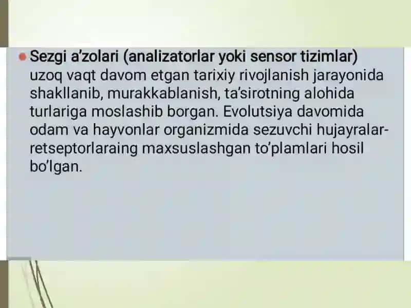 Sensor retsepsiya.Teri analizatori lokalizatsiyani aniqlash 4