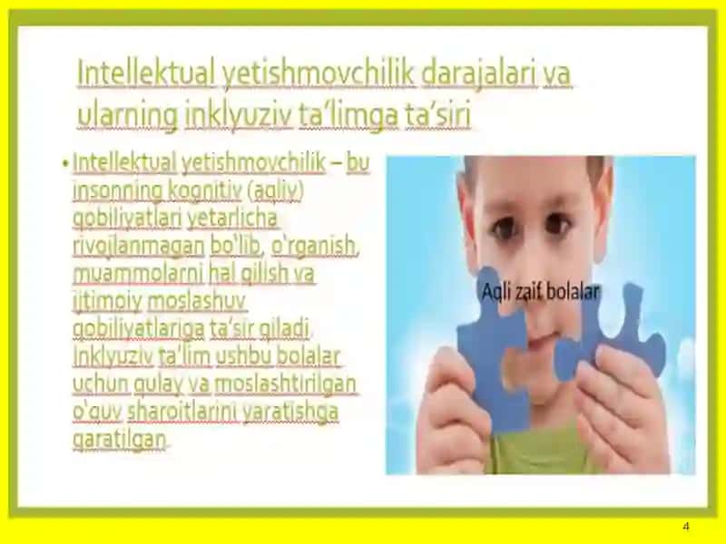 Turli darajadagi intellektual yetishmovchiligi bo‘lgan bolalar uchun inklyuziv ta’lim strategiyalari 4