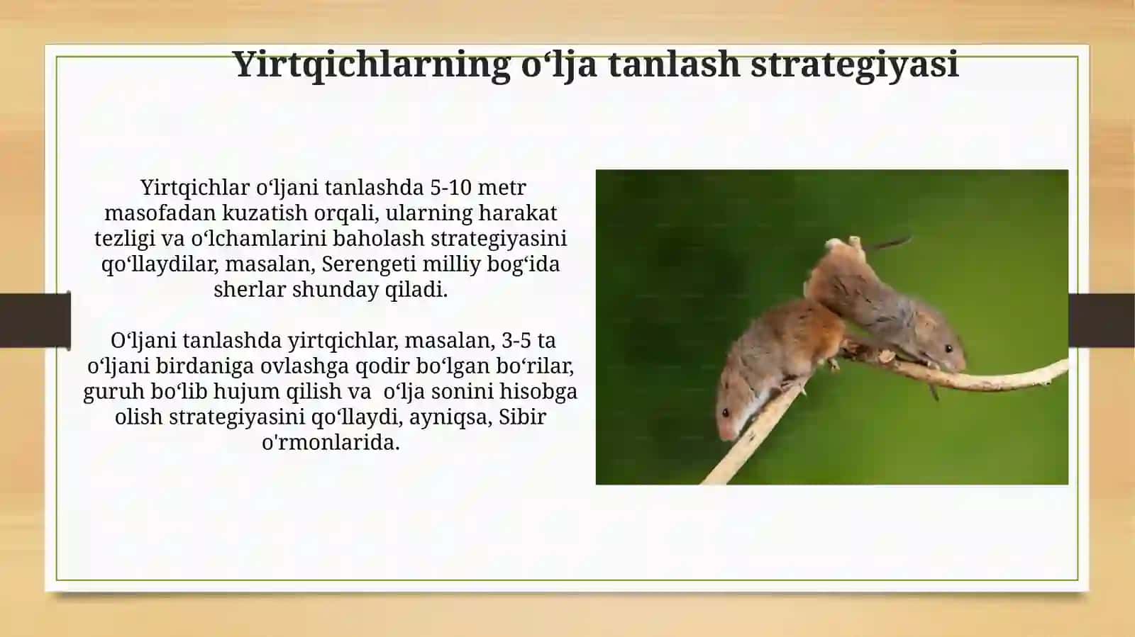 Oʻljaning yirtqichlardan himoyalanish usullari 4