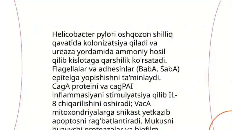 Oshqozon yara kasalligi etiopatogenezi 4
