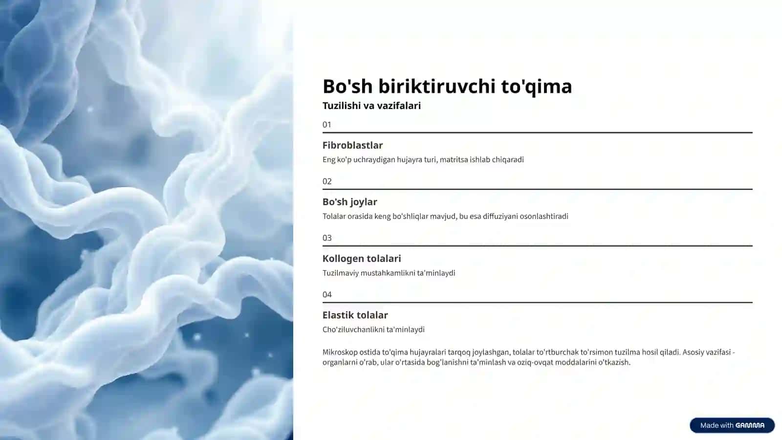 Biriktiruvchi to'qima turlarini mikroskop ostida o'rganish 4