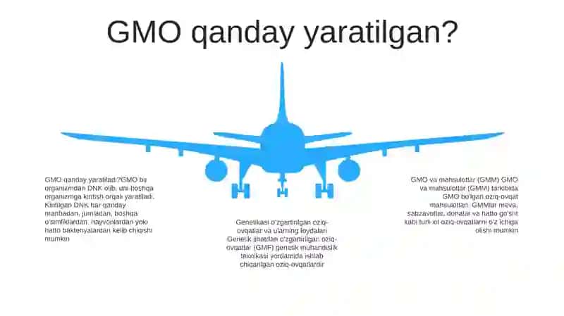 Genetik Modifikatsiyalangan Organizm (GMO) Va Mahsulotlar (GMM) 4