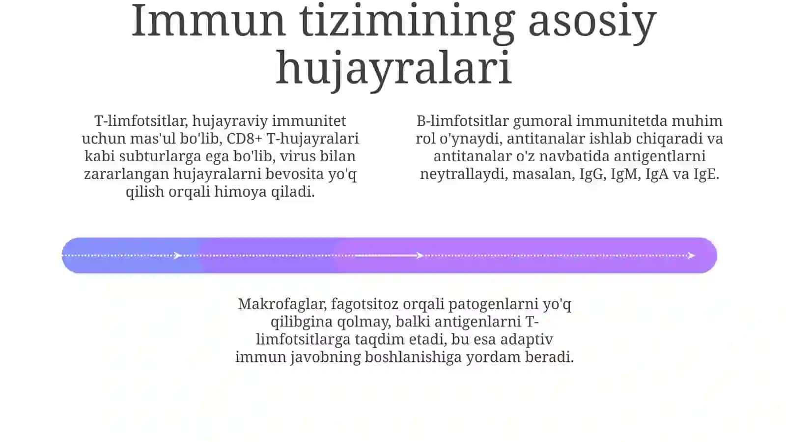 Immun tizimining morfologik asoslari 4
