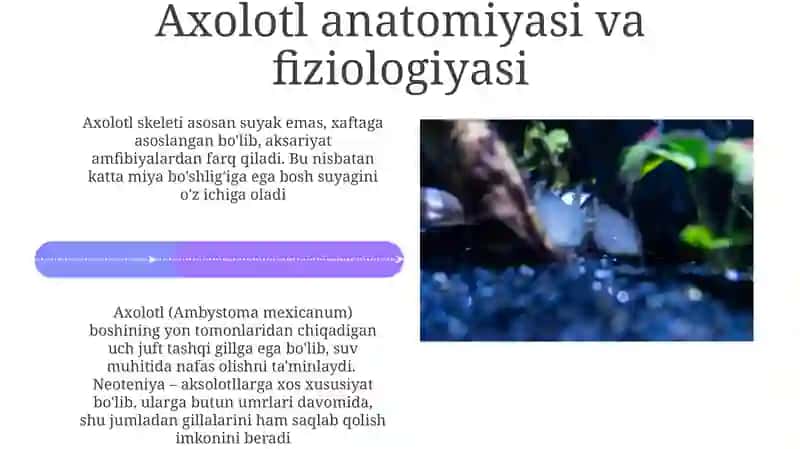 Axolotl Regeneratsiyasi va Tadqiqotlari 4
