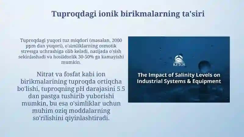 Ionik birikmalarning tuproq va suv ifloslanishidagi turlari va manbalari 4