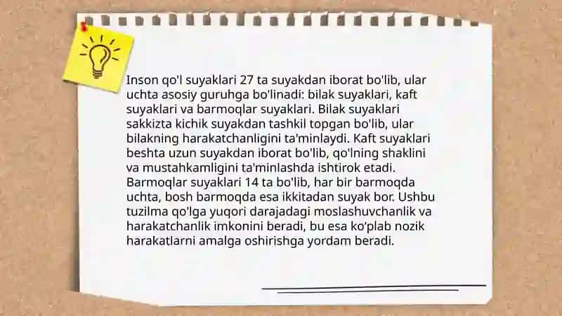 Qoʻl suyaklarining variantli anatomiyasi,rivojlanish nuqsonlari 4
