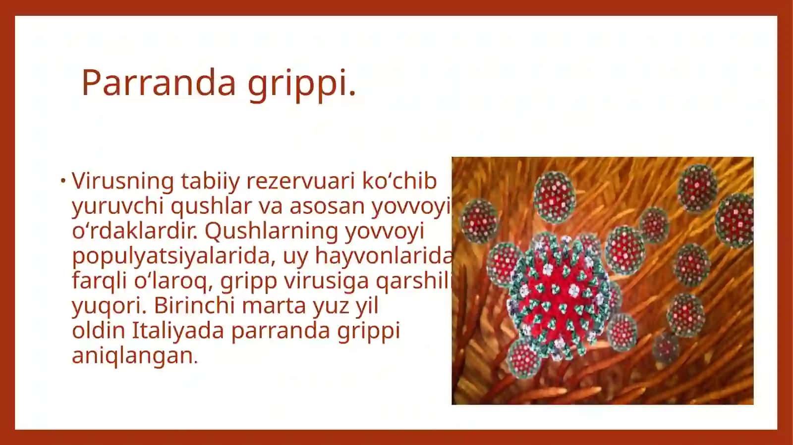 Parranda gripi va uning hozirgi kundagi muammolari 4
