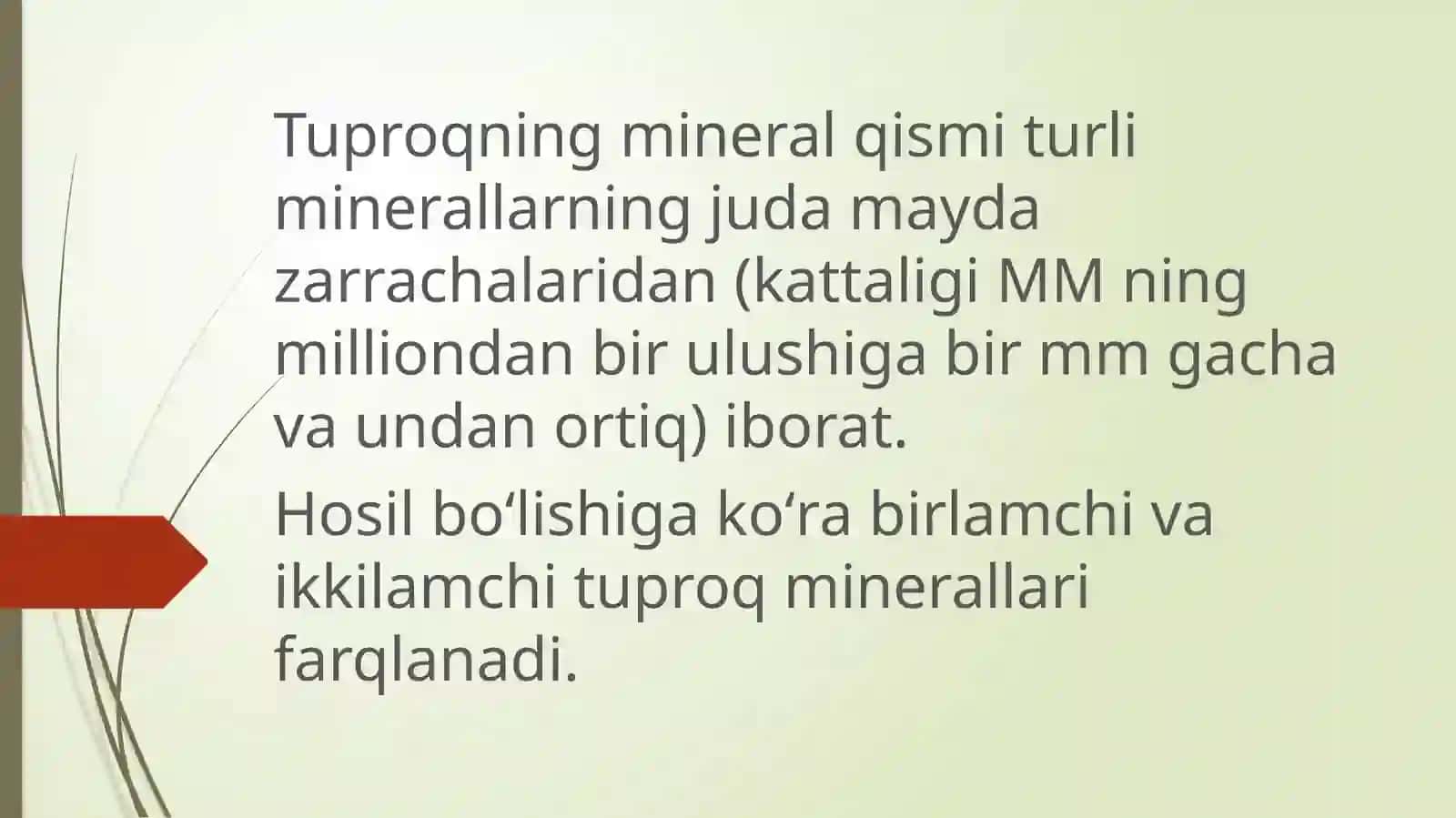 TERMIZ 2021 4