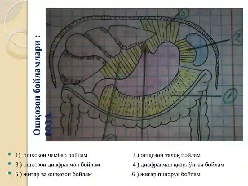 Меъда 4