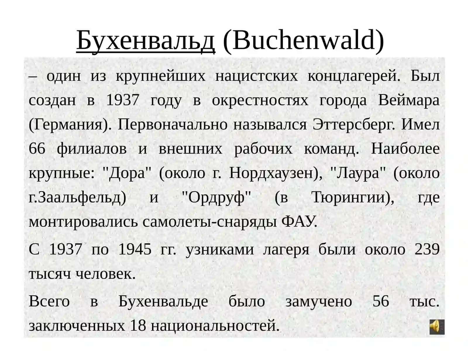 Международный день освобождения узников фашистских концлагерей 4