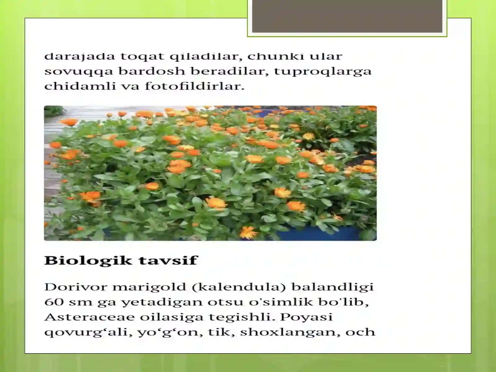 Agrolagistika va biznes dorivor o’simliklarni yetishtirish va qayta ishlash yo’nalishi 308-gurux Eshilov Muborakning dorivor o’simliklarni urug’chiligi va ko’chatchiligi fanidan 4