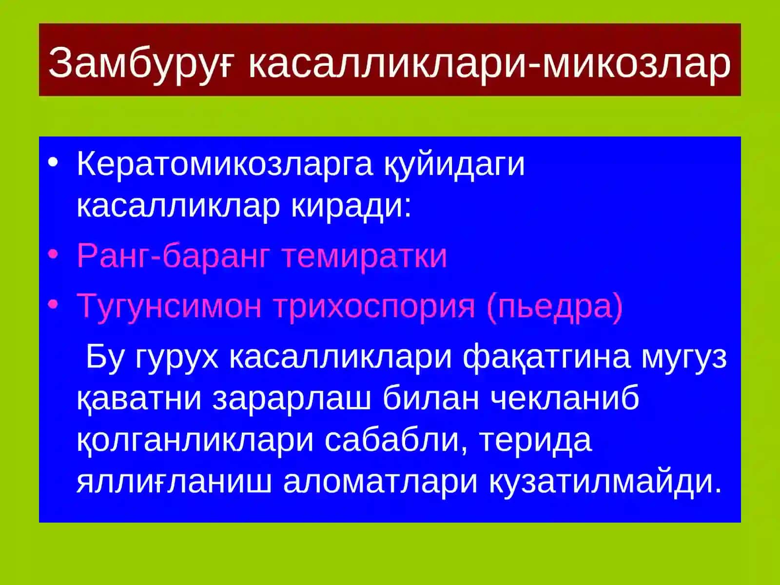 Терининг тузилиши, морфологик элементлари 4