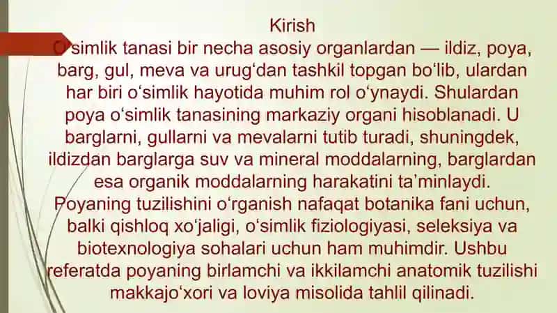 Poyaning birlamchi va ikkilamchi anatomik tuzilishini (makkajo‘xori va loviya misolida) o‘rganish 4