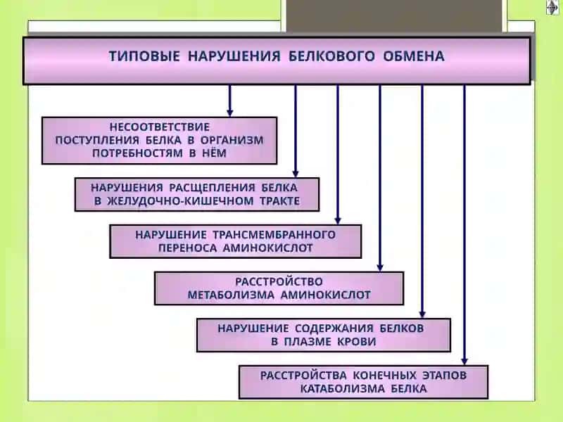 Нарушение белкового обмена при патологии печени 4