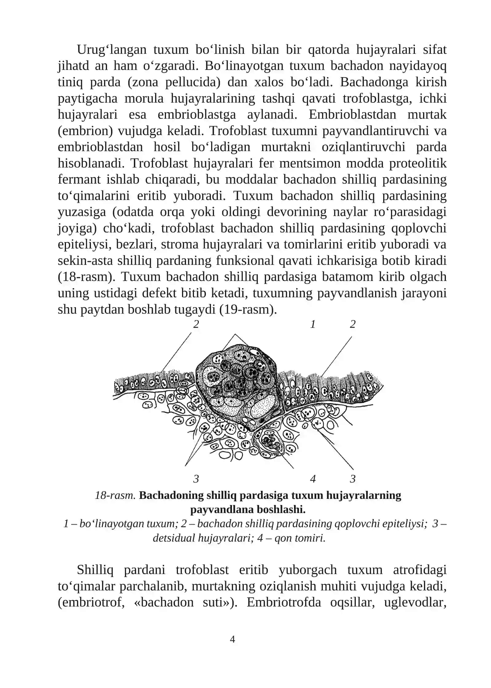 Homiladorlik davrida hamshiralik parvarishi homiladorlik fiziologiyasi 4