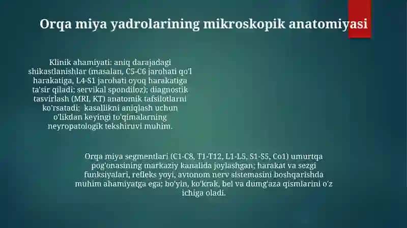 Orqa miya ôzaklarining joylashuvi va ularning ahamiyati 4