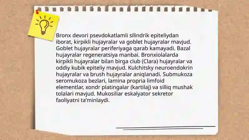 BRONXLARNING TUZILISHI FUNKSIYASI KASALLIKLARI 4