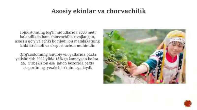 Markaziy Osiyo Davlatlari qishloq xöjaligi 4