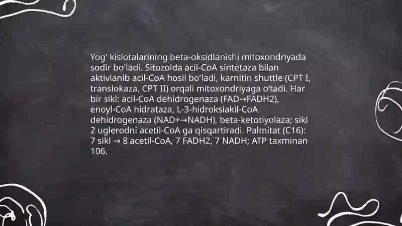 Yoğlar va uglevodlar almashinuvi fiziologiyasi 4