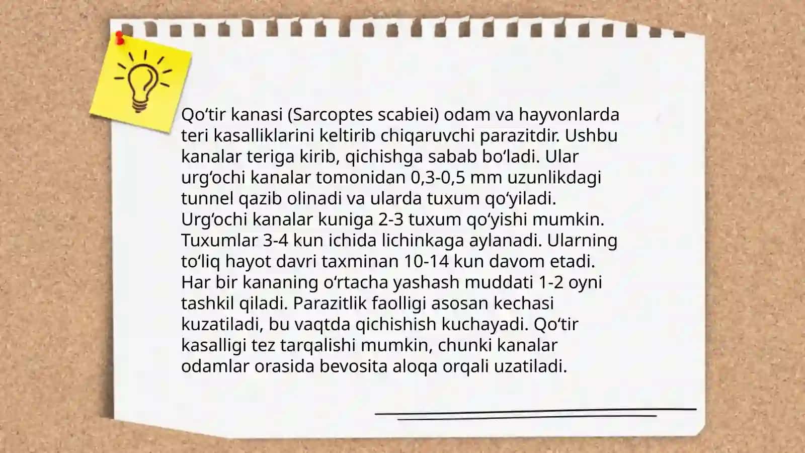Tibbiy araxnoentomologiya:oʻrgimchaksimonlar:qoʻtir kana,ornitodorus kanasi,tayga kanasi,it kanasi 4