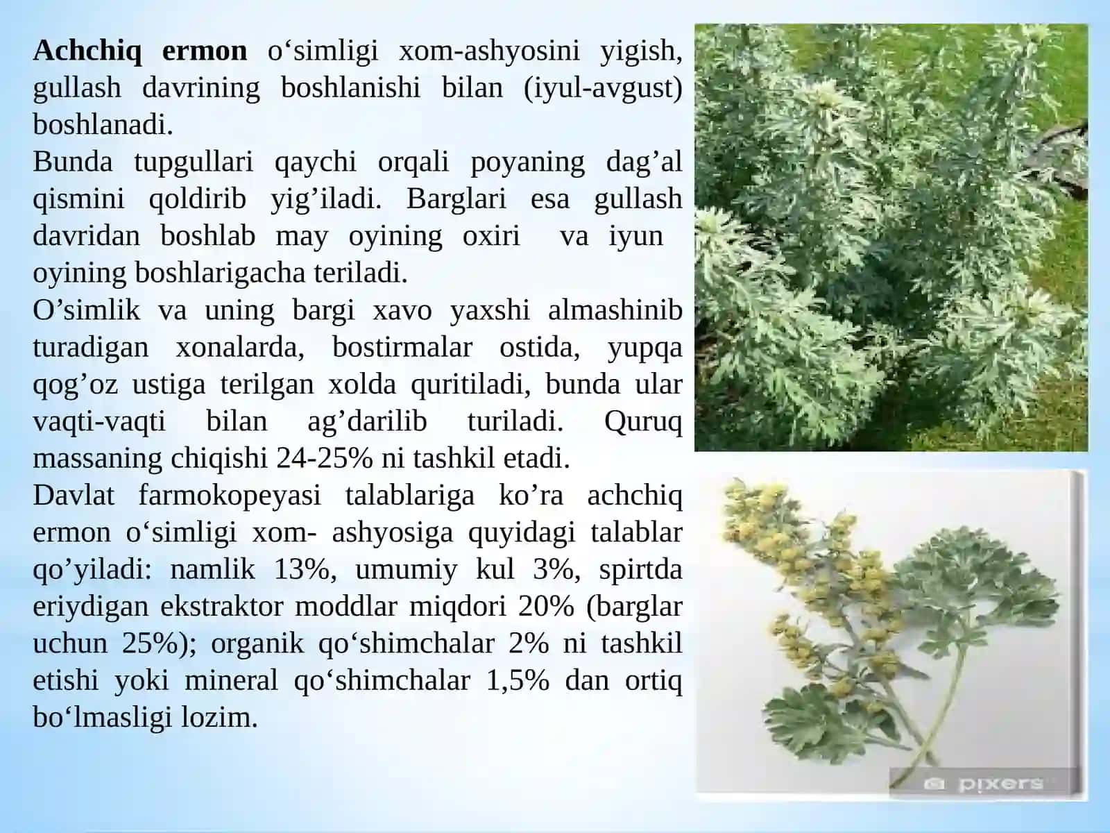 Achchiq ermon dorivoro‘simlig niquritish vasaqlash normativ-texnik standarti 4