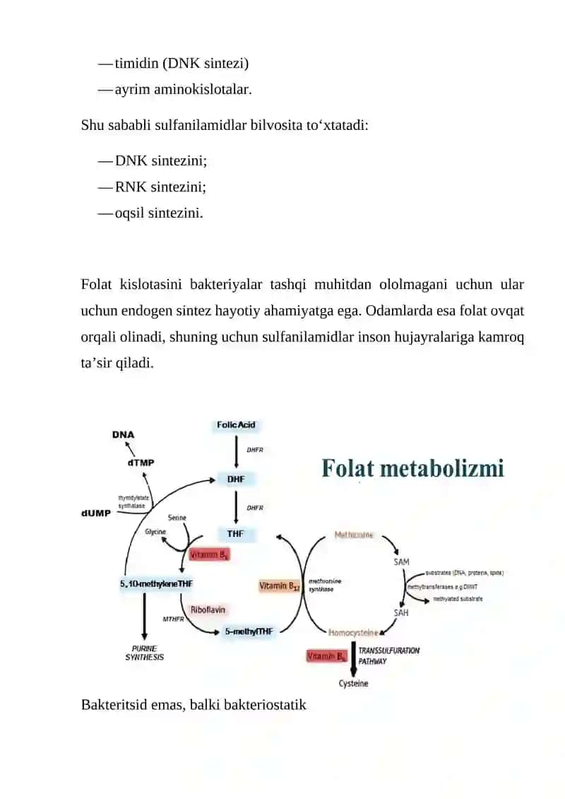Sulfanilamid preparatlarining bakteriostatik mexanizmi Biokimyo 4