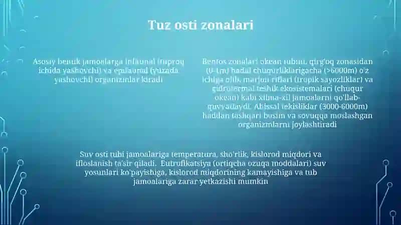 Chuchuk suvdagi organizmlar jamoalari 4