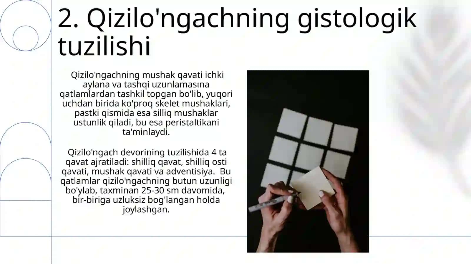 Nafas olish tizimi a'zolarining qiyosiy gistalogik tavsifi 4