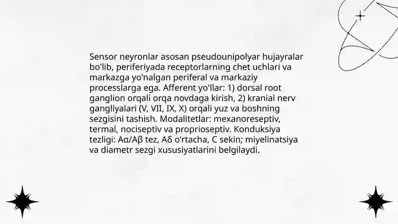 Inson sezgi organlar anotomiyasi fiziologiyasi va patalogiyasi sezvi to'g'risidagi umumiy tushuncha sezgining neyrofiziologik asoslari Abdumo'minova Mubinaxon 4