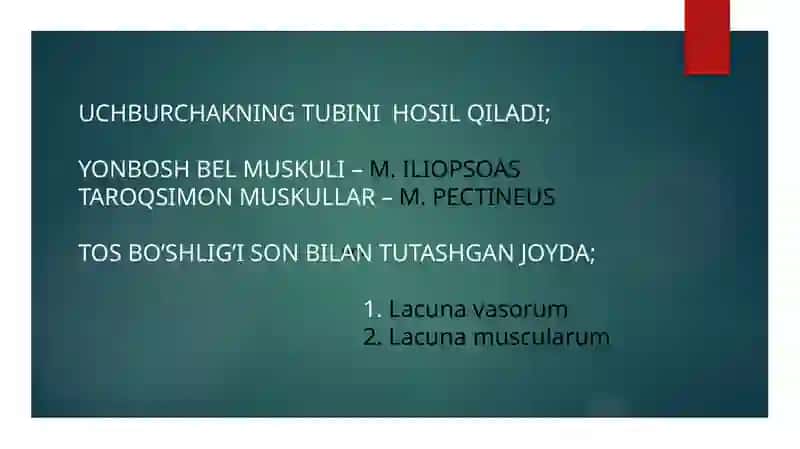 SON UCHBURCHAGI 4