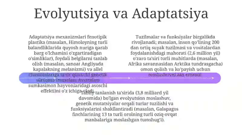 Tuzilma va Funktsiyaning O'zaro Aloqasi 4