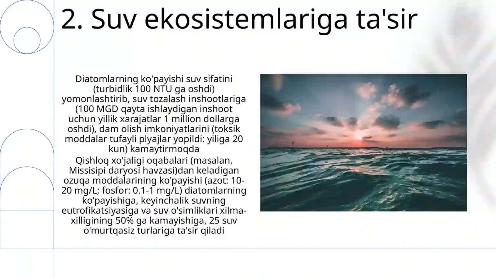 Диатомсувутларбулими 4
