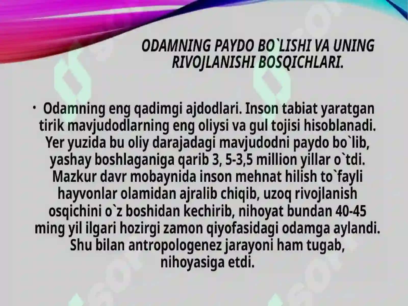 ODAM EVOLYUTSIYASIYASI, DASTLABKI ODAMLAR 4