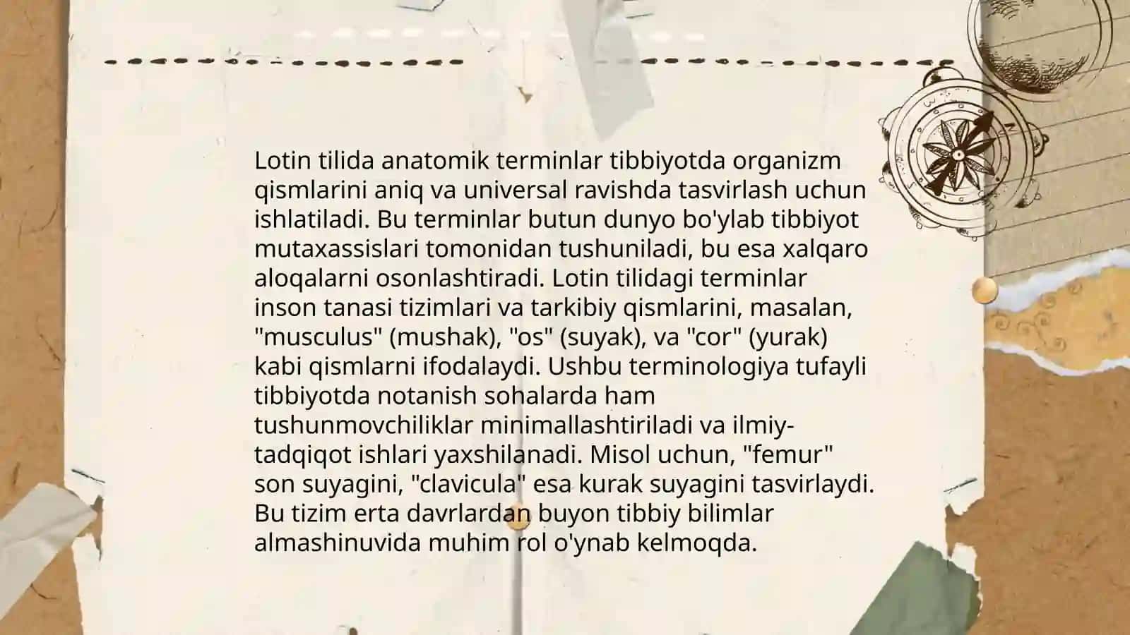 Lotin tilining anatomiyadagi terminlarda o'rni 4