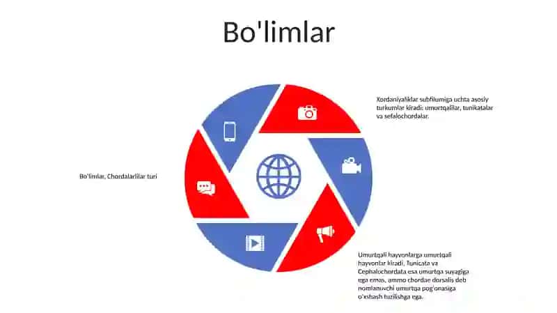 Xordalilar Tipi 4