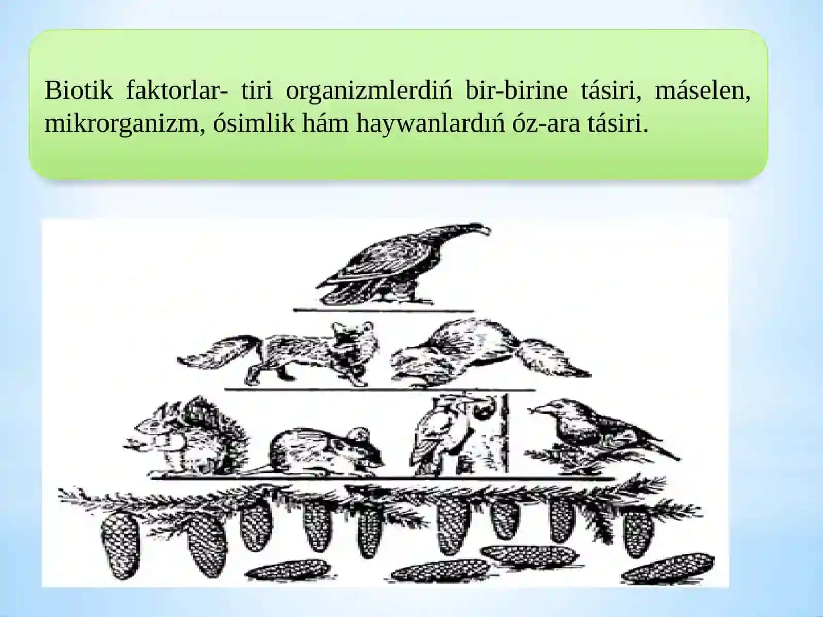 Ekologiyalıq faktorlar 4