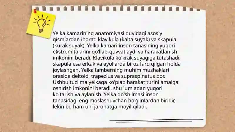 Oq chiziq yelka kamar bogimlari 4