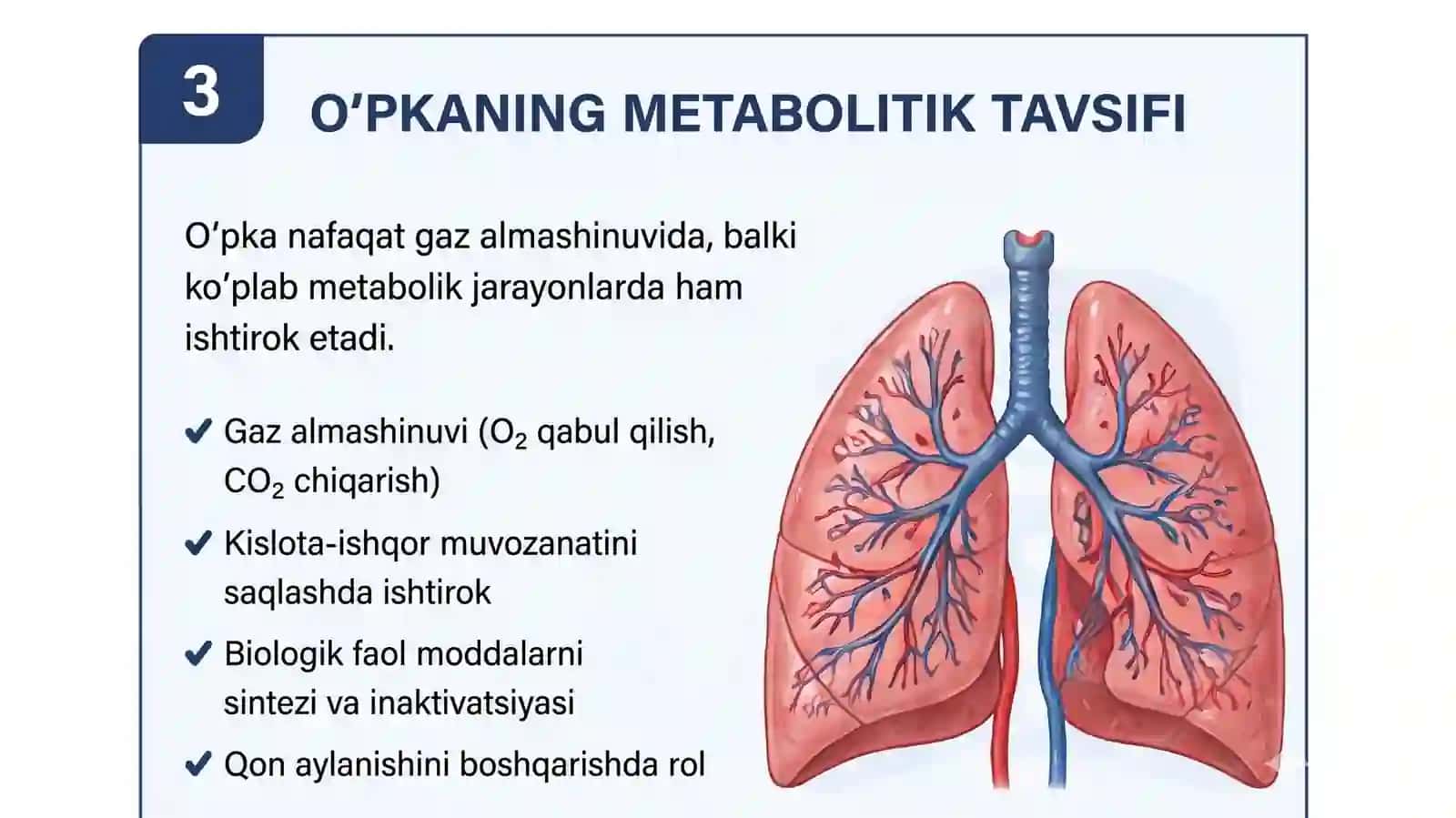 O'pkaning metobolitik tavsifi va uning buzilishlari 4