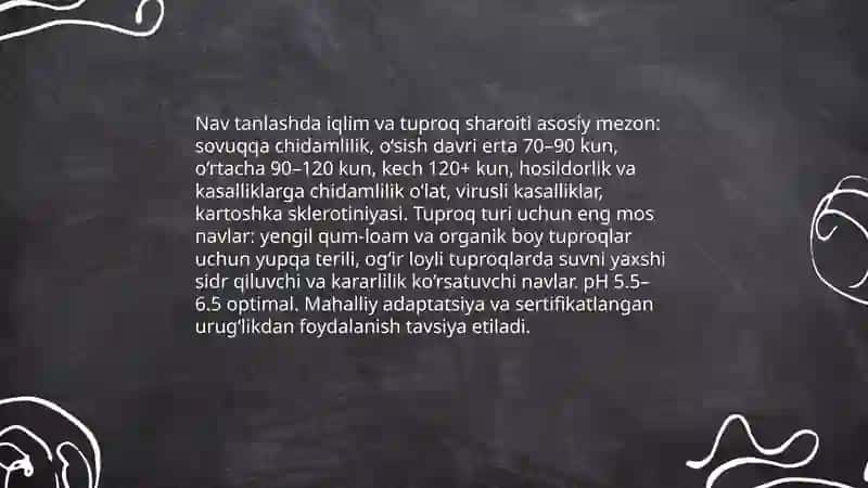 Kartoshka urugʻlik tugaraklarini ekishga tayyorlash tenalogyasi 4