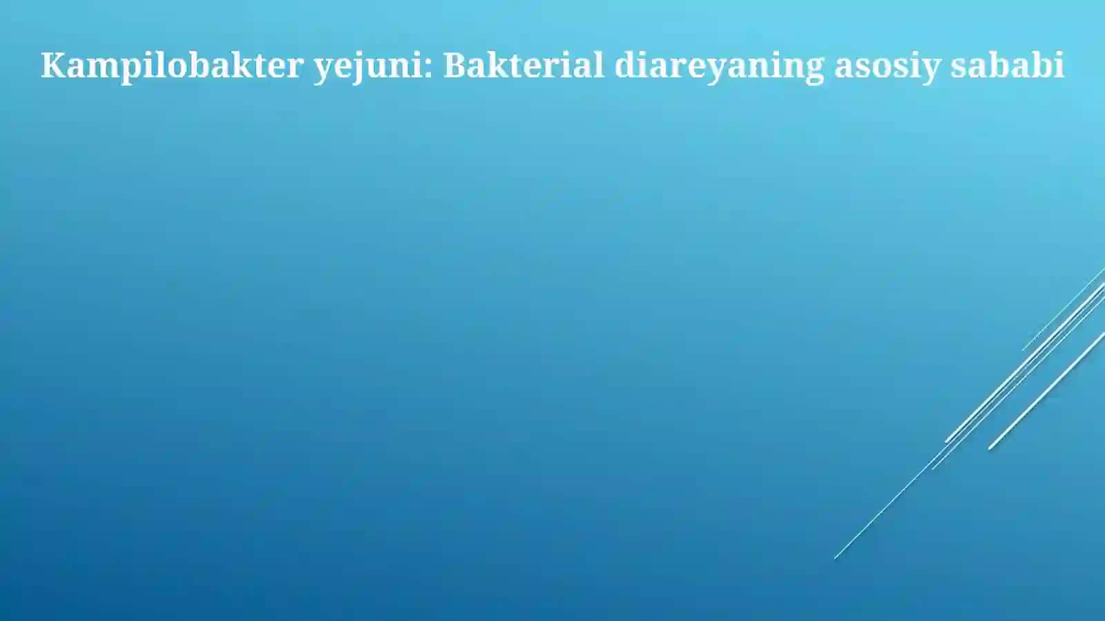 Kampilobakteriyalar,xelikobakteriyalarvaularningamaliyotdagiahamiyati 4