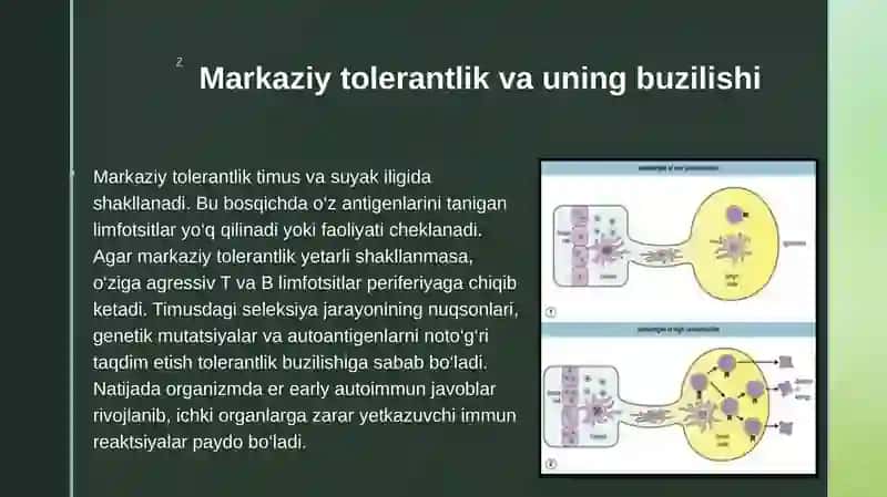 Immunologik tolerantlik nuqsonlari. Autoimmun xastaliklar 4
