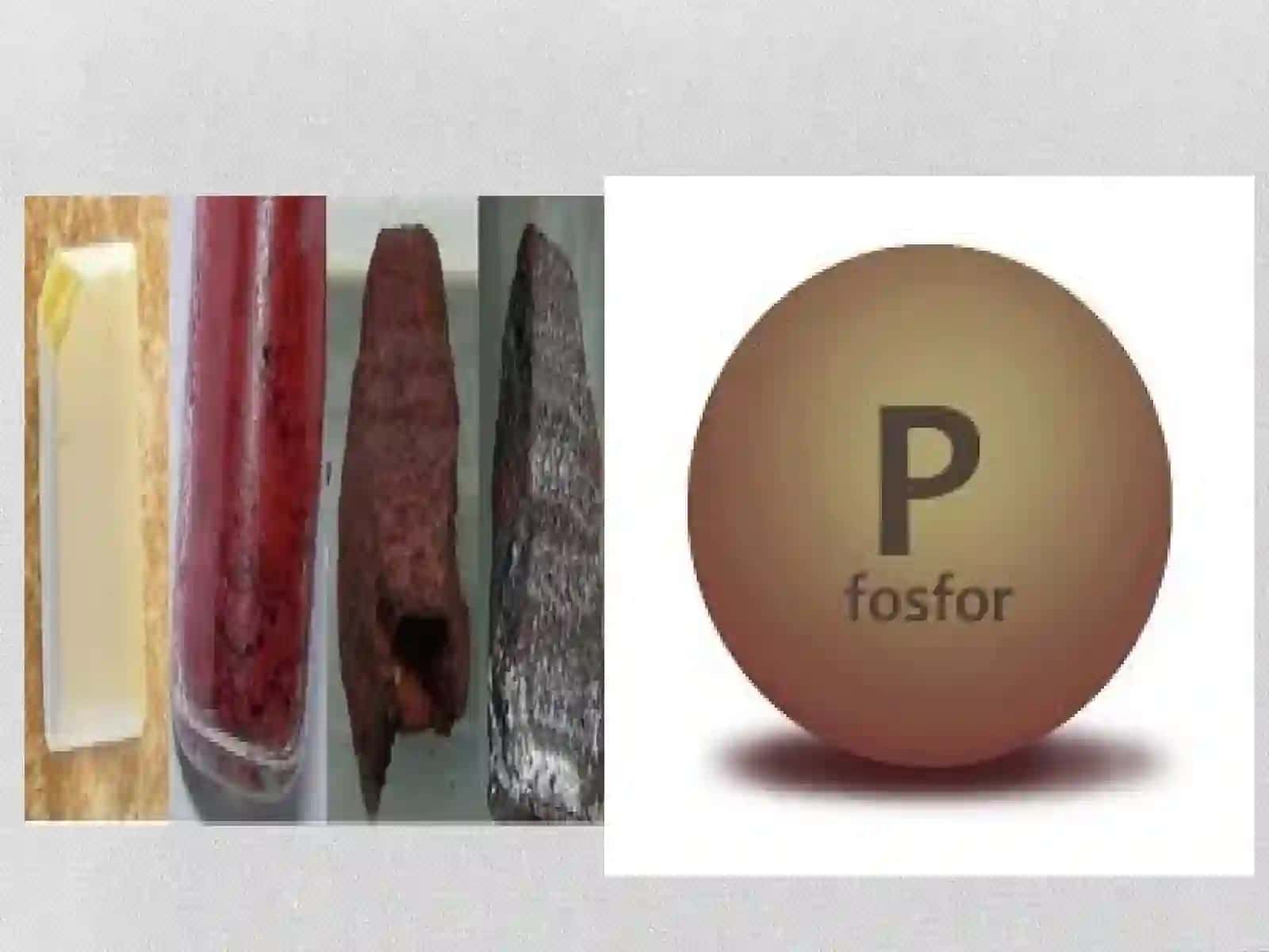 Fosforli moddalar, ularning energiya almashinuvidagi ahamiyati 4