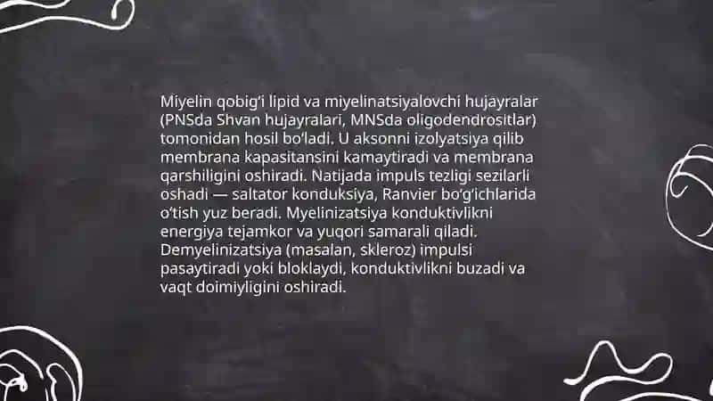 Nerv tolalari fiziologiyasi 4